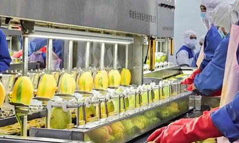 Nafoods Group lãi hơn 140 tỷ đồng sau 6 tháng, hàng tồn kho tăng hơn gấp đôi