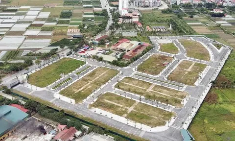 Nâng mức cọc lên 50% khi đấu giá đất: Có chặn được trục lợi?