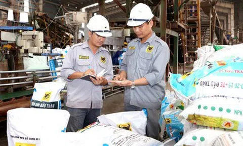 Phân bón Bình Điền chi hơn 200 tỷ đồng trả cổ tức tiền mặt 2025