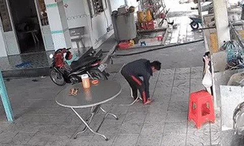 Thót tim cảnh người đàn ông Tây Ninh tay không bắt rắn 1,5m giữa sân nhà