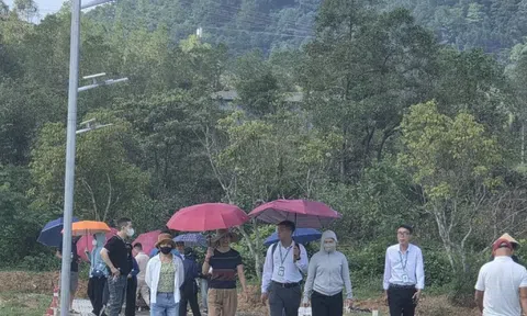 Dựng dự án 'ảo' phân lô bán nền, doanh nghiệp bị phạt hơn nửa tỷ đồng