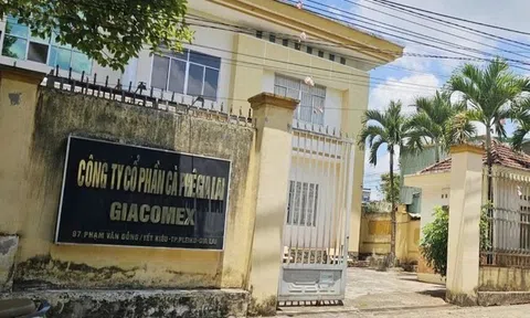 Phát hiện sai phạm trong cổ phần hóa công ty cà phê, kiến nghị chuyển hồ sơ sang công an