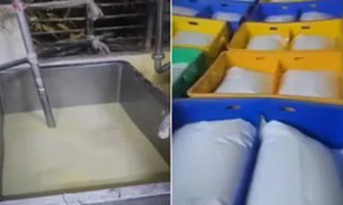 Đột kích một nhà máy, triệt phá đường dây sản xuất sữa giả từ urê, chất tẩy rửa, tịch thu 3.000 lít sữa và hàng trăm kg hoá chất