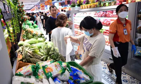 Thu nhập trung bình của 8.685.607 người dân Hà Nội là bao nhiêu triệu đồng/tháng?