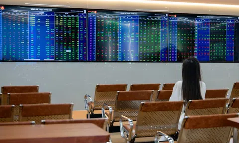 Chứng khoán bị bán tháo diện rộng, VN-Index giảm mạnh nhất 2 tuần