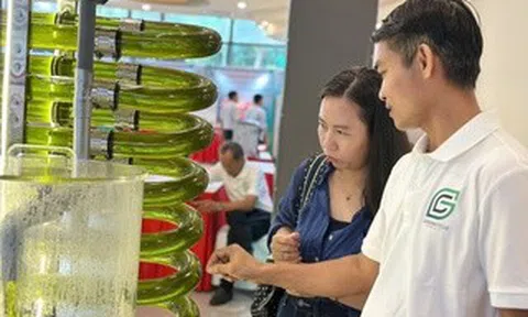 Chợ công nghệ xanh đang diễn ra tại TPHCM có gì đặc biệt?