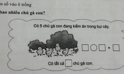 Bài toán tiểu học khiến phụ huynh phải lên mạng hỏi vì dữ liệu được "giấu" trong bụi cây