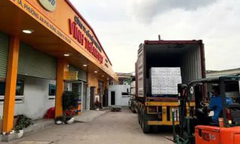 VFood xuất khẩu lô trứng ăn liền đầu tiên sang Nhật Bản