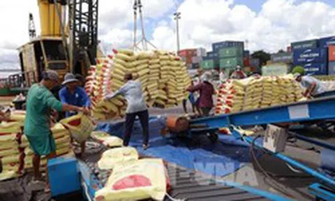 Xuất khẩu nông lâm thủy sản 6 tháng đầu năm đạt gần 36 tỷ USD
