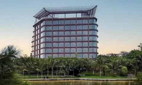 Cổ phiếu OCH tăng trần 4 phiên liên tiếp nhờ kế hoạch M&A, lập đỉnh gần một năm