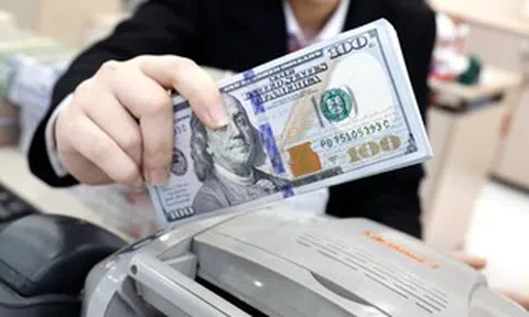 Diễn biến bất ngờ của giá USD trên thị trường tự do