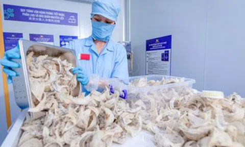 Cục Xuất nhập khẩu lưu ý thay đổi quan trọng với hàng thực phẩm vào Trung Quốc từ 1-6
