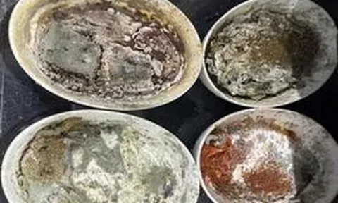 Công ty cung cấp suất ăn cho loạt hãng bay Mỹ bị nhân viên tố có giòi, gián xuất hiện; đồ mốc vẫn được rửa lại để tái sử dụng