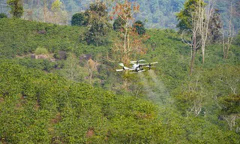 UAV mở hướng phát triển kinh tế vùng núi