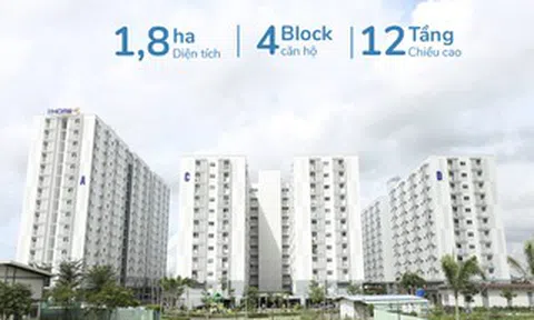 Một tập đoàn của Nhật Bản muốn xây hàng chục ngàn căn nhà giá rẻ tại Việt Nam