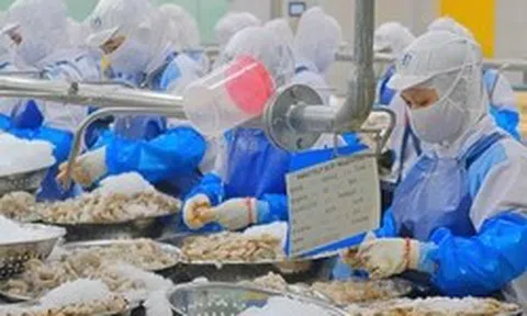 Khuyến cáo với doanh nghiệp xuất khẩu sang Mỹ