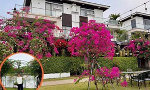 Biệt thự triệu đô của Cao Thái Sơn, thứ quý giá nhất không nằm trong nhà