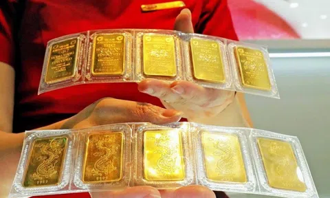 Giá vàng hôm nay 19/11: Giá vàng trong nước bật tăng, ngược chiều giá vàng thế giới