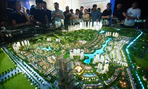 Cuộc sống đảo lộn, giao dịch bị hủy vì loạn dịch vụ check quy hoạch
