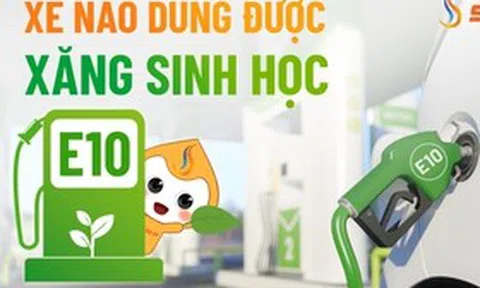 Xăng E10 bán đại trà, các hãng công bố mẫu xe tương thích và chế độ bảo hành