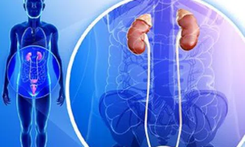 Cảnh báo 5 dấu hiệu suy thận dễ bị bỏ qua: Nhìn làn da, mi mắt có thể nhận biết bất thường nhưng nhiều người Việt vẫn chủ quan