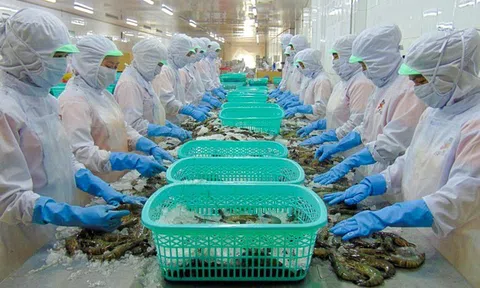 Sao Ta hoàn nhập hơn 27 tỷ đồng thuế chống bán phá giá