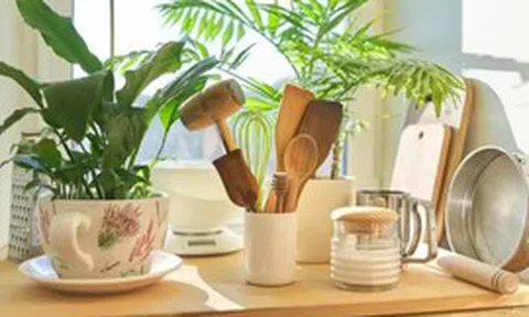5 thứ trong nhà dễ gây bệnh bỏ ngay đừng tiếc