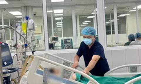 Cấp cứu bé gái 14 tuổi nguy kịch, suy đa tạng, phải lọc máu liên tục vì một vết đốt