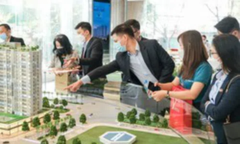 Môi giới bất động sản cung cấp thông tin sai có thể bị phạt tới 160 triệu đồng