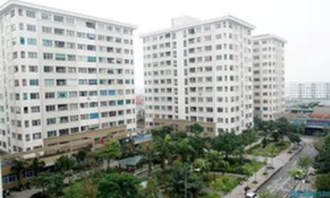 Nhà ở vừa túi tiền biến mất khỏi thị trường, HoREA đề xuất “mở cửa” phân khúc giá phù hợp