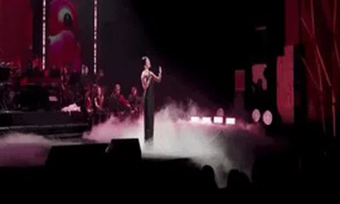 Ca sĩ Việt hát một show thu nửa tỷ: Chỉ nhờ giọng hát mà giàu kếch xù, 2 căn biệt thự gây choáng ở TP.HCM lẫn Hà Nội