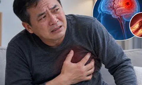 Nghiên cứu theo dõi 20 năm chỉ ra 3 ĐIỂM CHUNG ở những người có nguy cơ mắc bệnh tim mạch và đột quỵ