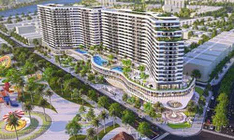 Diamond Sky được bảo chứng bởi những thương hiệu nổi tiếng nào?