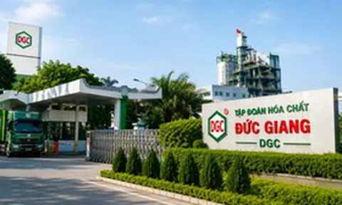 Cổ phiếu DGC có nhiều biến động trước ngày chốt quyền nhận cổ tức 80%