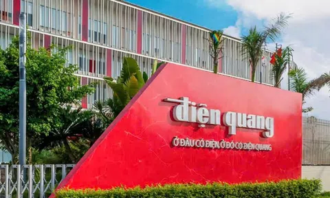 Loạt doanh nghiệp bị phạt vì công bố thông tin, một công ty báo lãi chênh 6,6 tỷ đồng