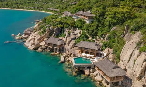 Ninh Vân Bay vướng 3 vi phạm công bố thông tin giữa lúc cổ phiếu NVT vẫn "kẹt" trong vùng cảnh báo