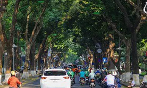 Từ ngày 23/9, toàn bộ người dân Việt Nam được miễn phí 100% dịch vụ này trong suốt 5 ngày