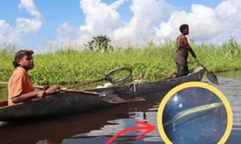 Sinh vật mất tích hơn 40 năm bất ngờ "sống lại": Người phụ nữ vô tình tìm thấy 2 con vào phút cuối