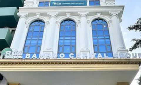 Bamboo Capital tính đường tái cấu trúc 5 năm sau khi mất tư cách công ty đại chúng