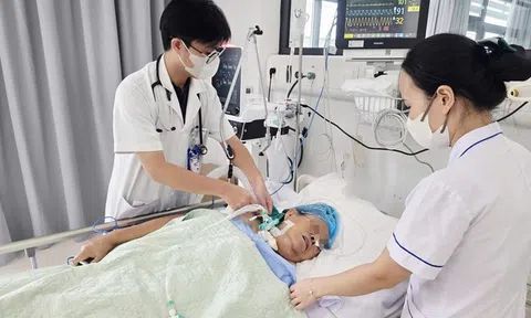 Gai hoa giấy đâm vào chân, cụ bà 71 tuổi nguy kịch