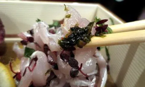 Loại cá bán đầy chợ Việt, được người Nhật mua về làm sashimi: Rẻ nhưng khoáng chất vượt cá hồi, cực tốt cho sức khỏe
