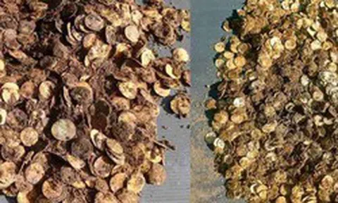 Phát hiện kho bạc nặng 4,5 kg sau hàng thế kỷ nằm dưới lòng đất, người tìm thấy được nhận bao nhiêu tiền?
