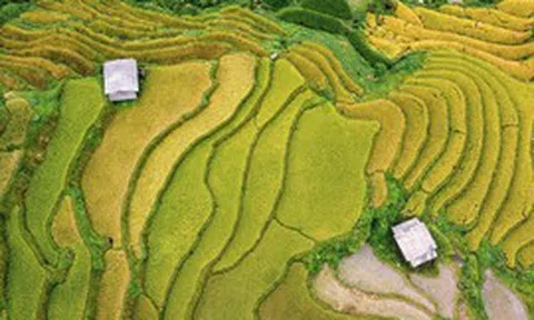 Việt Nam có “tòa tháp xanh 121 tầng” giữa núi: Không xây bằng bê tông, nằm ở điểm đến hàng triệu khách mỗi năm