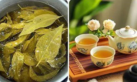 Uống nước lá vối mỗi ngày có giúp giảm cân?