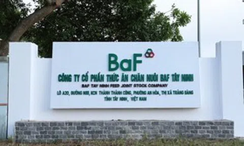 BAF sắp tung “gói” ESOP 80 tỷ đồng, giá ưu đãi cho 242 nhân viên