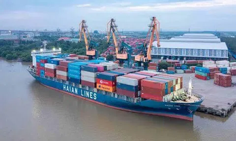 Gelex thoái toàn bộ 5,16% vốn tại Vận tải và Xếp dỡ Hải An