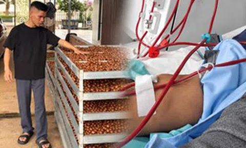 Chủ nhà hàng mới 24 tuổi đã suy thận giai đoạn cuối: Từng nghĩ do làm việc quá sức