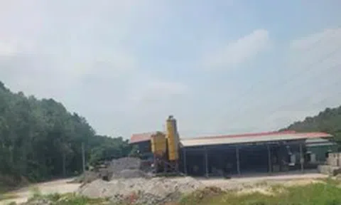 Hà Nội tháo dỡ hàng loạt nhà gỗ, nhà dạng container trên đất rừng