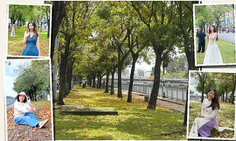 Dù trời âm u, nhiều người vẫn dậy sớm trang điểm, diện áo dài đến ‘con đường mùa thu’ ở TP.HCM chụp ảnh