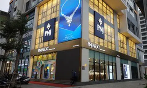 PNJ dự kiến lỗ hơn 6.200 tỷ đồng năm 2026, cổ tức tiền mặt về 0%